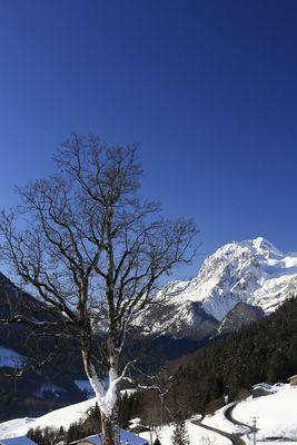 Serie Berchtesgadener Land: Hochschwarzeck mit Blick auf die Reiteralm - 2