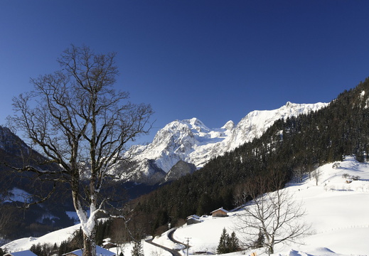 Serie Berchtesgadener Land: Hochschwarzeck mit Blick auf die Reiteralm - 1 