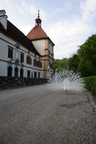 Schloss Eggenberg Graz - ein weißer Pfau 